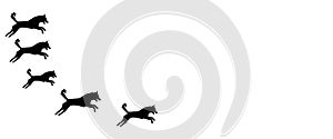 Header Background Pet Dogs Pattern on White Background