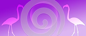 Header Background  Purple Gradient  Flamingo Birds  Pair