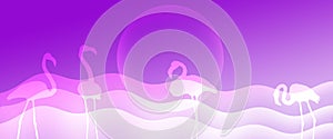 Header Background Purple Gradient  Flamingo Birds  Pair