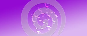 Header Background  Purple Gradient  Flamingo Birds Pattern