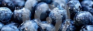 Header with fresh raw blueberries with waterdrops