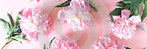 Header with pink peony flowers pattern. Tenderness monochrome concept