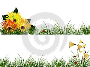 Headers with flowers, grass and ladybugs