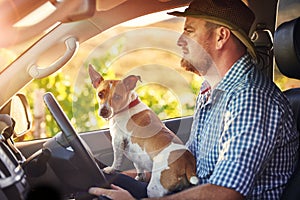 Heading into the city for a drop-off. a man and his dog driving out in the countryside.