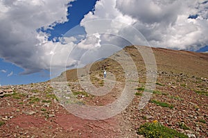Heading down an alpine trail