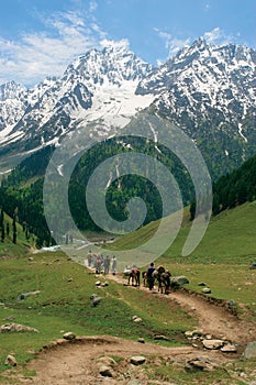 Heading towards the Himalayas