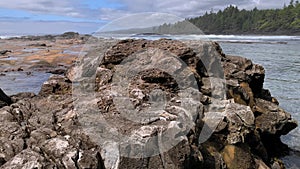 Headland between Botany Bay and Botanical Beach at Juan De Fuca Provincial Park, near Port Renfrew, British Columbia