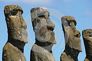 Heads of Ahu Akivi, Easter Isl photo