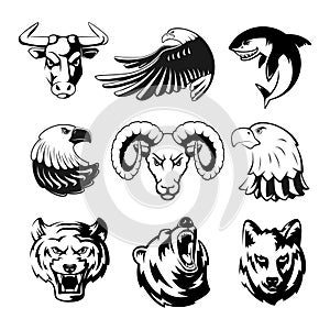 Heads of animals for logo or sport symbols. Grizzly, bear and eagle. Monochrome mascots illustrations for labels. Wolf