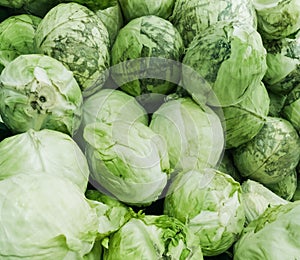 Cabbages