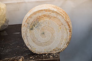 Heads of cheese kashkaval or kasseri  cheese for sale
