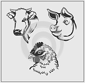 Heads of farm animals. Cow, pig and chicken.
