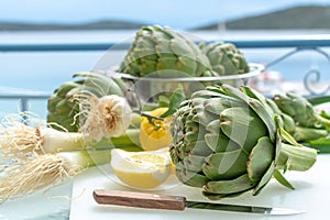 Heads flowers of fresh raw artichokes plants from artichoke plantation in Argolida, Greece ready to cook with lemon