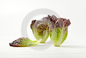 Heads of fresh lettuce