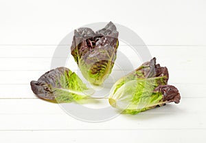 Heads of fresh lettuce