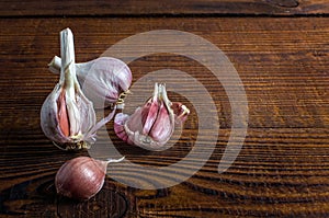 Heads of garlic on a wood board