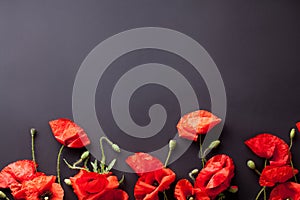 Heads of red poppies on black background flat lay