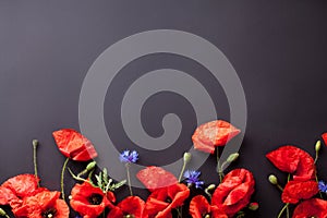 Heads of red poppies and cornflowers on black background flat la