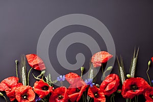 Heads of red poppies, rye and cornflowers on black background