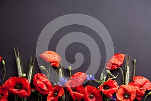 Heads of red poppies, rye and cornflowers on black background fr