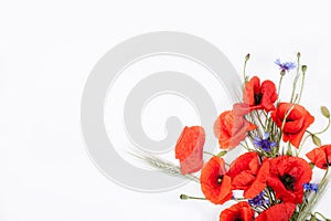 Heads of red poppies, rye and cornflowers on white background fl