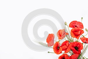 Heads of red poppies and rye on white background flat lay
