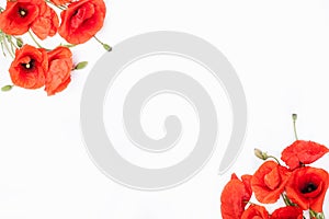 Heads of red poppies on white background