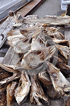 Heads stockfish norway