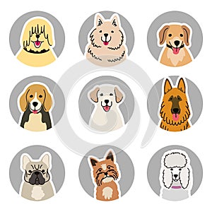 Heads of various dog breeds cartoon color illustration on white background