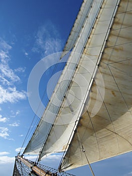Headsails of a tallship under sail