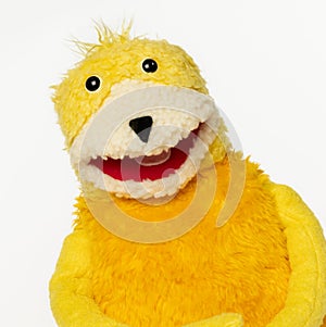 Headshot of Flat Eric Puppet
