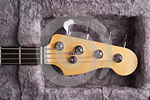 Headstock of the electric Bass guitar in fur hard case