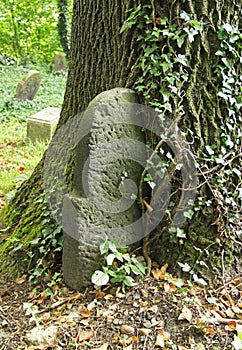 Headstone ingrown to the tree