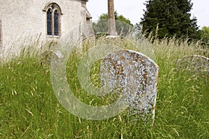 Headstone in Overgrown Church Yard
