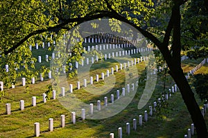 Headstone Rows