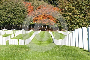Headstone rows at Arlington National Cemetery,