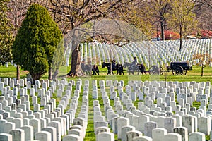 US Army marine funeral coffin on the horse coach