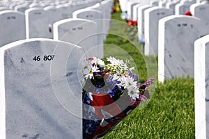 Headstones and Flowers in National Cemetery