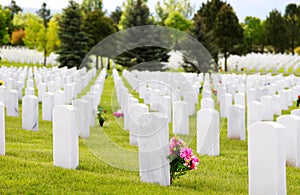 Headstones at Military Cemetery