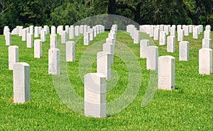 Headstones in a National Cemetery