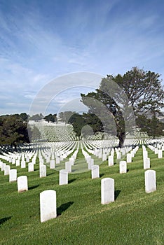 Headstones at United States National Cemetery