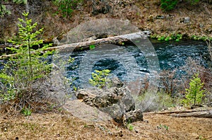 Headwaters of the Metolius River