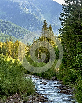 The headwaters of the Sandy River in Oregon