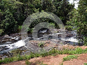 The headwaters of Zillie Falls in Tropical Far North Queensland