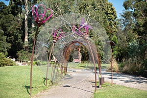 Healesville Sanctuary Walkway made of flowers