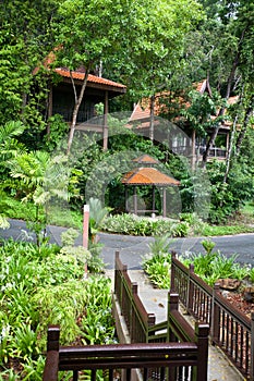 Healh resort in rainforest. Ecotourism.