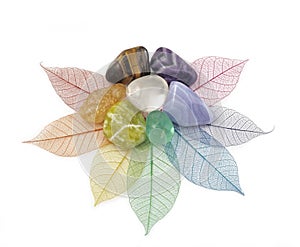 Healing Chakra Crystals on Leaves photo