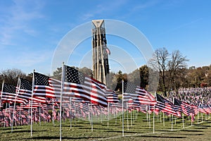 The Healing Field at Naperville Rotary Hill