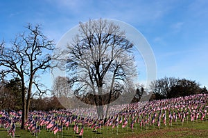 The Healing Field at Naperville Rotary Hill