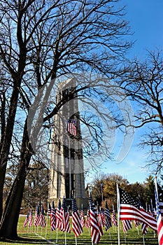 The Healing Field at Naperville Rotary Hill